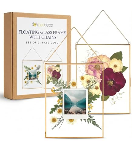 Amazon.com - Zerodeko Dried Flower Display Frame Specimen Box for